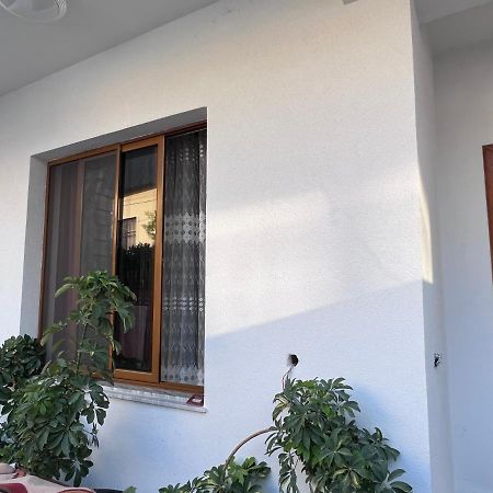 David Guesthouse Шкодер Екстер'єр фото