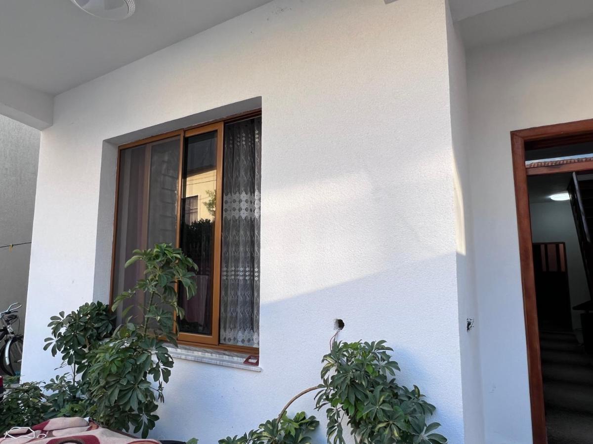 David Guesthouse Шкодер Екстер'єр фото